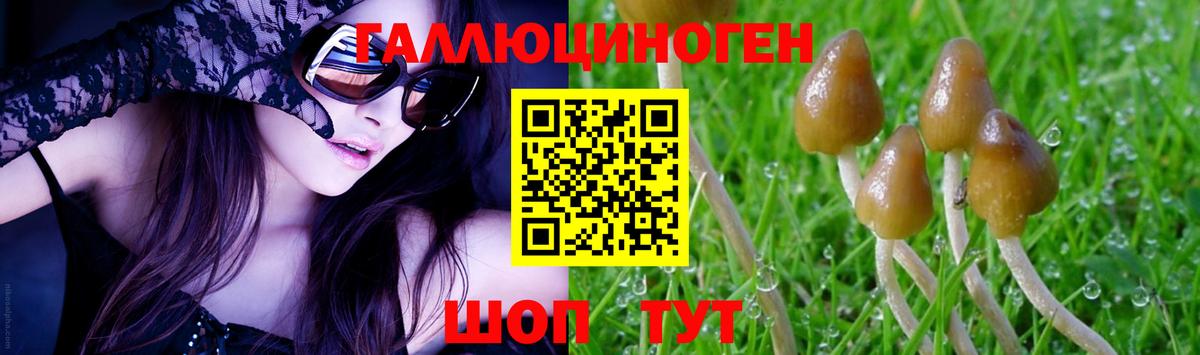 Галлюциногенные грибы Psilocybe  дарнет шоп  Вход с VPN  Камышин  Галлюциногенные грибы MAGIC MUSHROOMS 