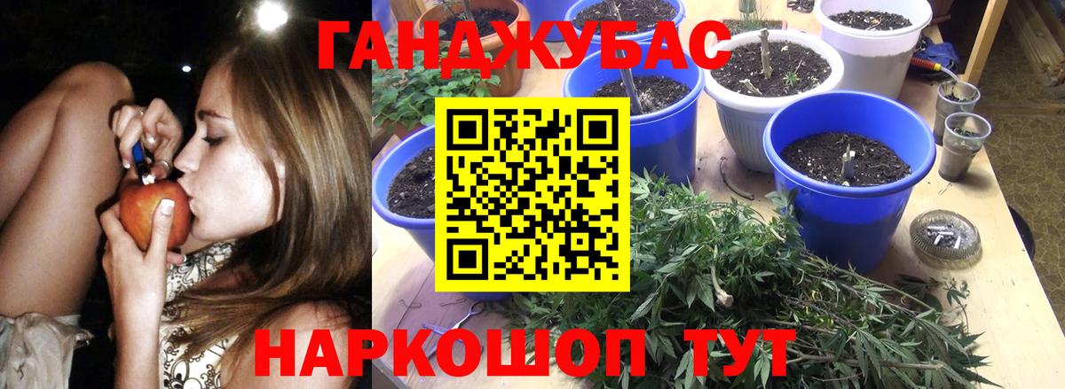 Конопля индика  Шишки марихуана планчик  Камышин  Шишки марихуана LSD WEED  Вход с VPN 